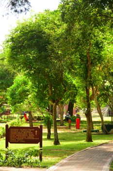 Manukan Island catwalk and trees in Sabah, Malaysia