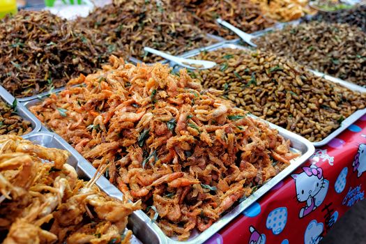 Fried insects street food in Thailand This is fried insect food 