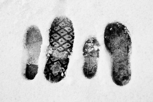 Footprints of a family in the snow.