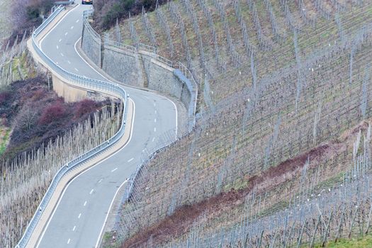 Winding road through vineyards