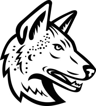 Gray Wolf or Arabian Wolf Head Mascot Black and White