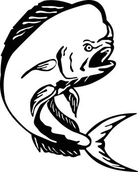 Angry Mahi-mahi Dorado Dolphinfish Jumping Etching Black and White