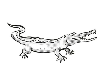 West African Slender Snouted Crocodile Endangered Wildlife Cartoon Drawing