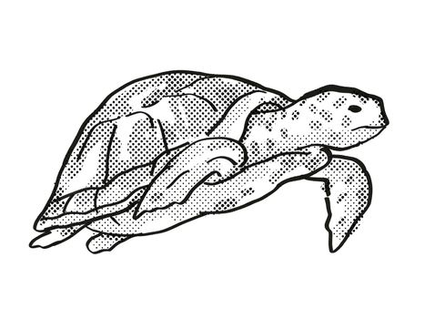 Green Sea Turtle Endangered Wildlife Cartoon Drawing