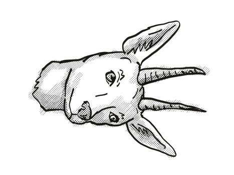 Mountain Reedbuck Endangered Wildlife Cartoon Retro Drawing