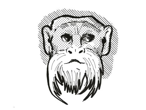 Emperor Tamarin Monkey Cartoon Retro Drawing