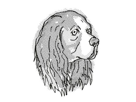 Cavalier King Charles Spaniel Dog Breed Cartoon Retro Drawing