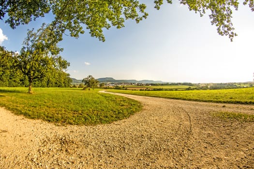 landscape with way, meadow, tree and view to the German highlands Swabian Alb