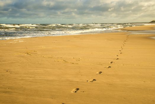 lonesome beach of the Baltic Sea with human track