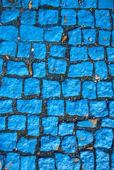blue painted cobblestones, parking for handicapped