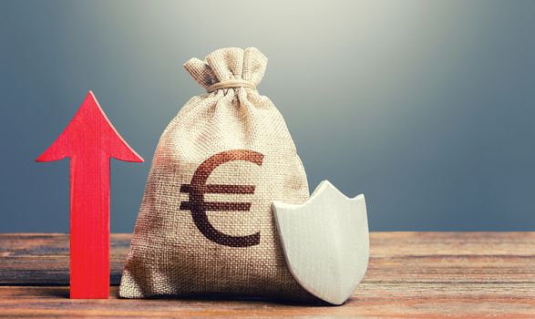 Euro money bag with a shield and a red arrow up. Increasing the maximum amount of guaranteed insurance compensation for deposits. Financial system stability. Safety security of investments, savings.