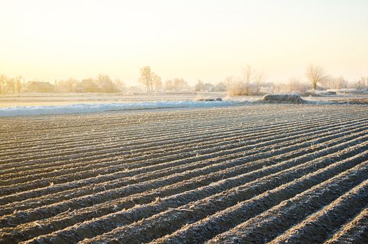 Winter farm field ready for new planting season. Preparatory agricultural work for spring. Choosing right time for sow fields plant seeds, protection from spring frosts. Agriculture and agribusiness.