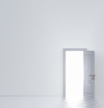 White door