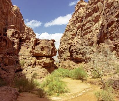 Entrance of a canyon in Wadi Rum protected area, Jordan, Middle East.