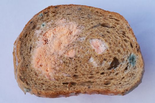 a piece of moldy bread on a white background.