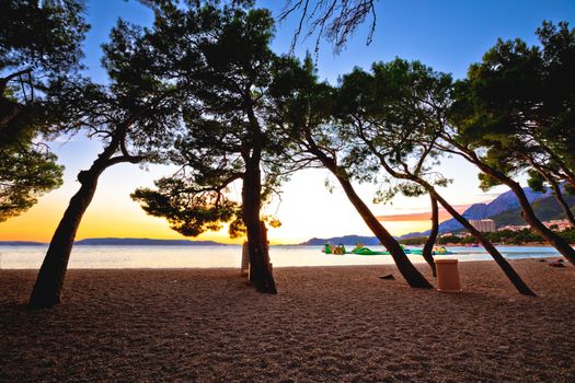 Makarska pebble beach and pine trees sunset view,
