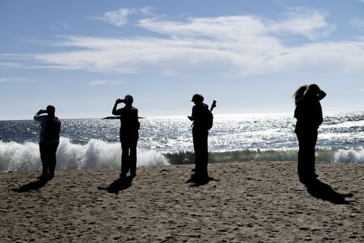 Photographers silhouettes along the sea. Tourism and holiday con