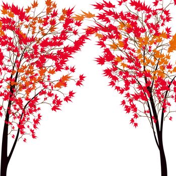 Card with autumn maple tree. Red maples. Japanese red maple.