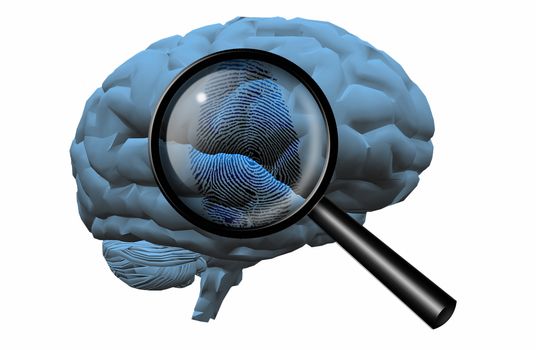 Fingerprint on brain