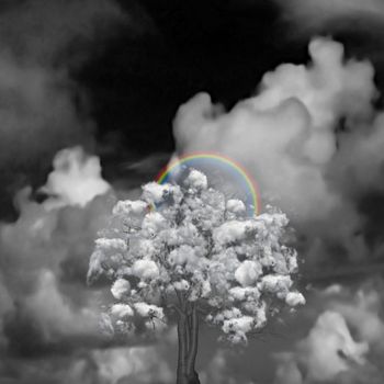 Cloud Tree and rainbow