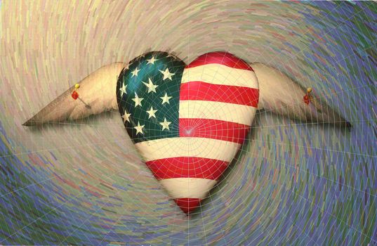 USA winged heart