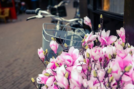 Closeup photo of a bicylcle and flowers