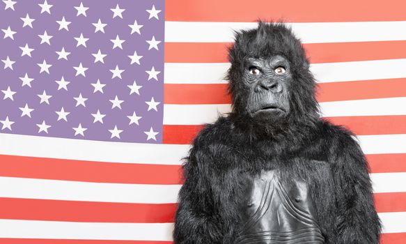 Portrait of young man dressed up in gorilla costume against American flag