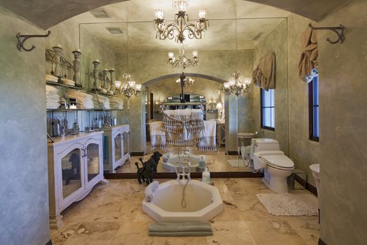 Modern bathroom interior design in mansion