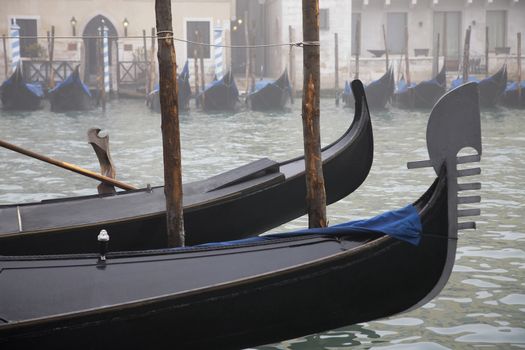 Italy Venice gondolas