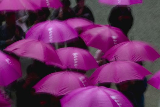 Kapan Nikko Tosho-gu Shinto shrine People under purple umbrellas elevated view