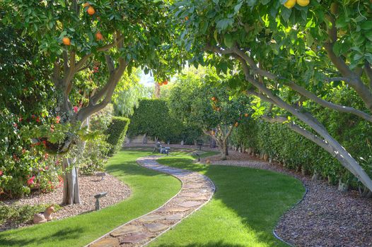 Fruit trees plantation in manor house garden