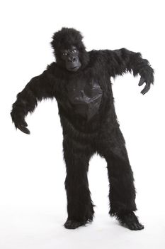 Young man wearing a gorilla costume against white background