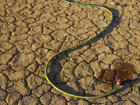 Garden hose on dry earth