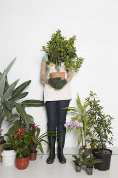 Woman holding potted orange tree over face