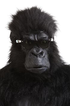 Young man in gorilla costume wearing sunglasses against white background