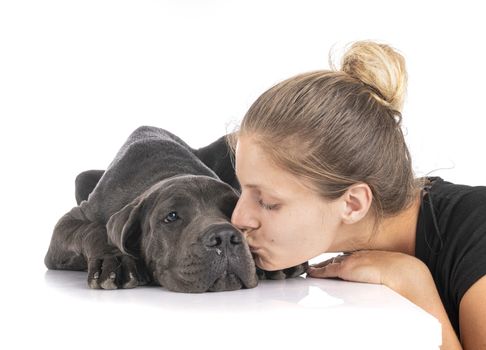 puppy great dane and woman