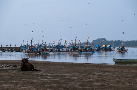 Fisherman village in Goa