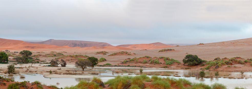 Panoramic view accross Sossusvlei to the south-west