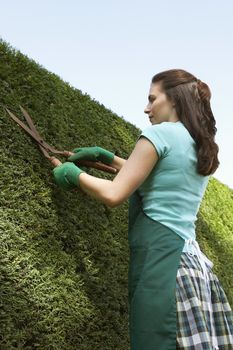 Portrait of Woman Trimming Hedge
