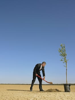 Businessman planting tree in desert full length