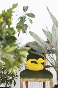 Duck-shaped watering can on velvet chair