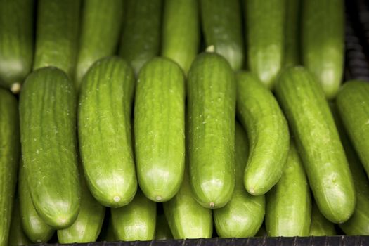 Close-up of cucumber on display in market