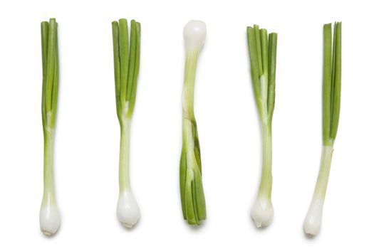 Fresh spring onions arranged over white background