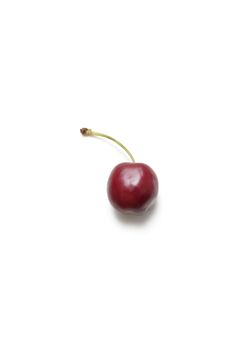 Single cherry against white background