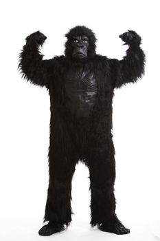Young man in a gorilla costume flexing muscles against white background
