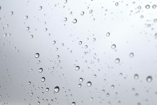 Drops of rain on the window