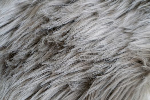 Close up of a gray sheepskin rug, carpet fur.