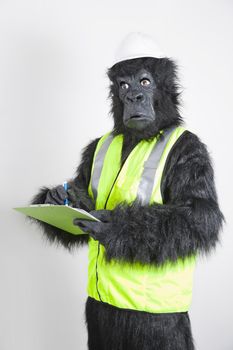Young male engineer in gorilla costume and safety wear against white background