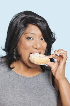 Portrait of overweight mixed race woman eating donut over blue background