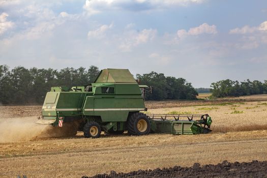 Combain harvester mows wheat